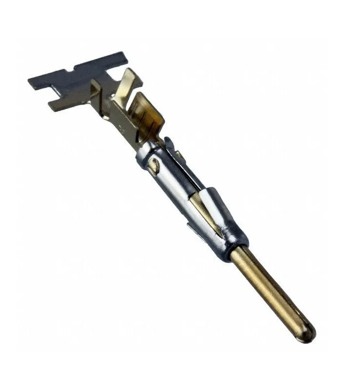 errebishop5954612