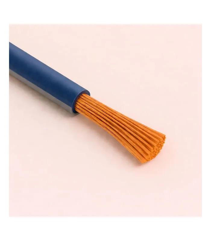 errebishop6009970
