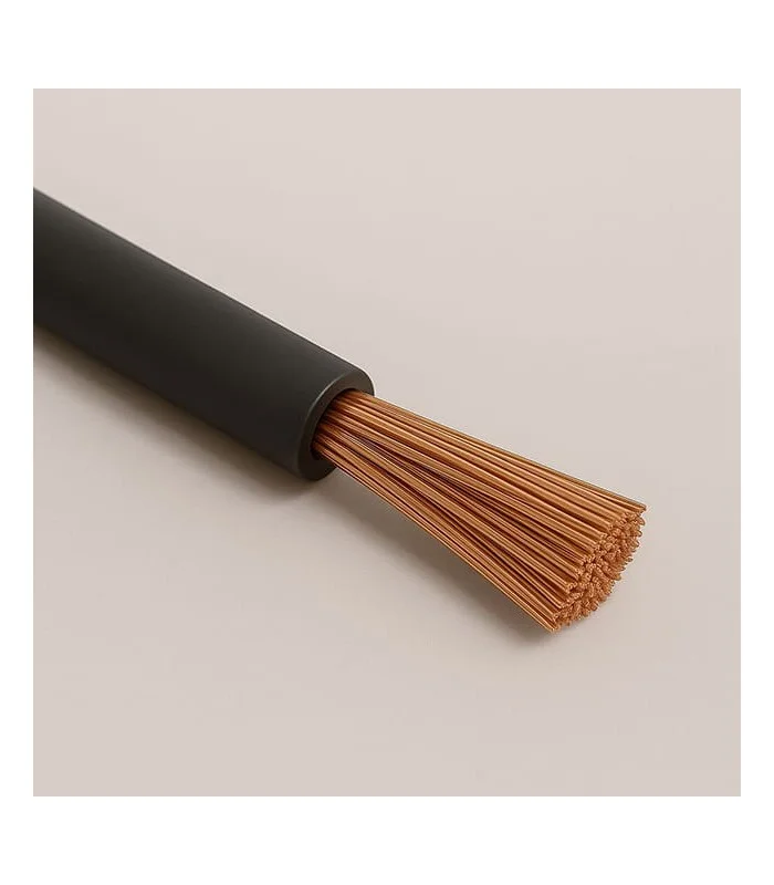 errebishop6011750