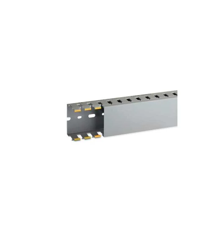 errebishop6047400